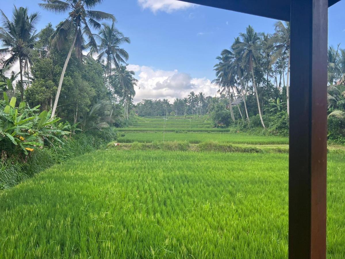 Ubud Sawah Scenery Villa And Homestay Tegallalang  Exteriör bild