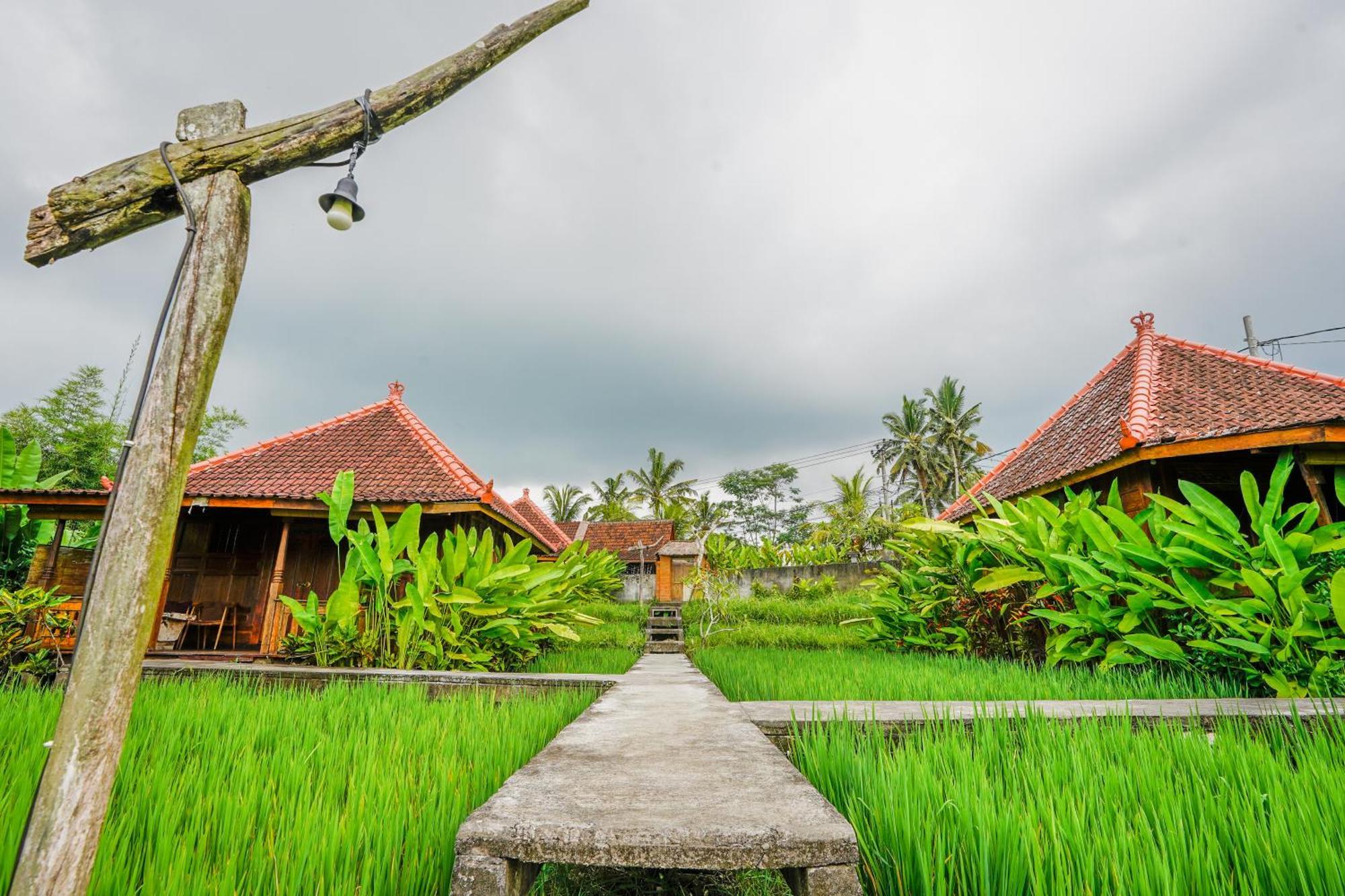 Ubud Sawah Scenery Villa And Homestay Tegallalang  Exteriör bild