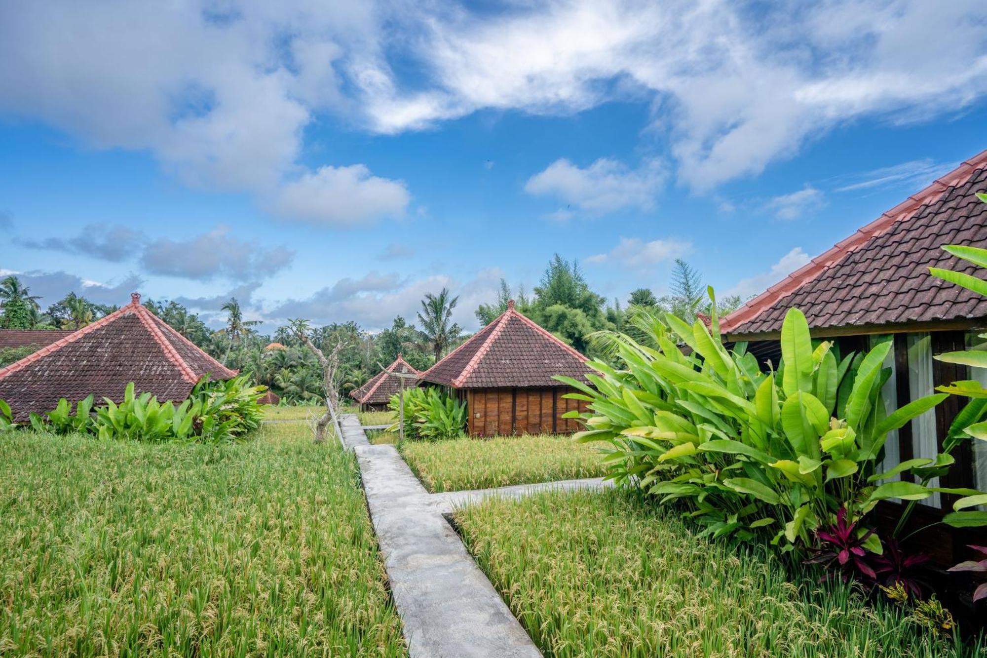 Ubud Sawah Scenery Villa And Homestay Tegallalang  Exteriör bild
