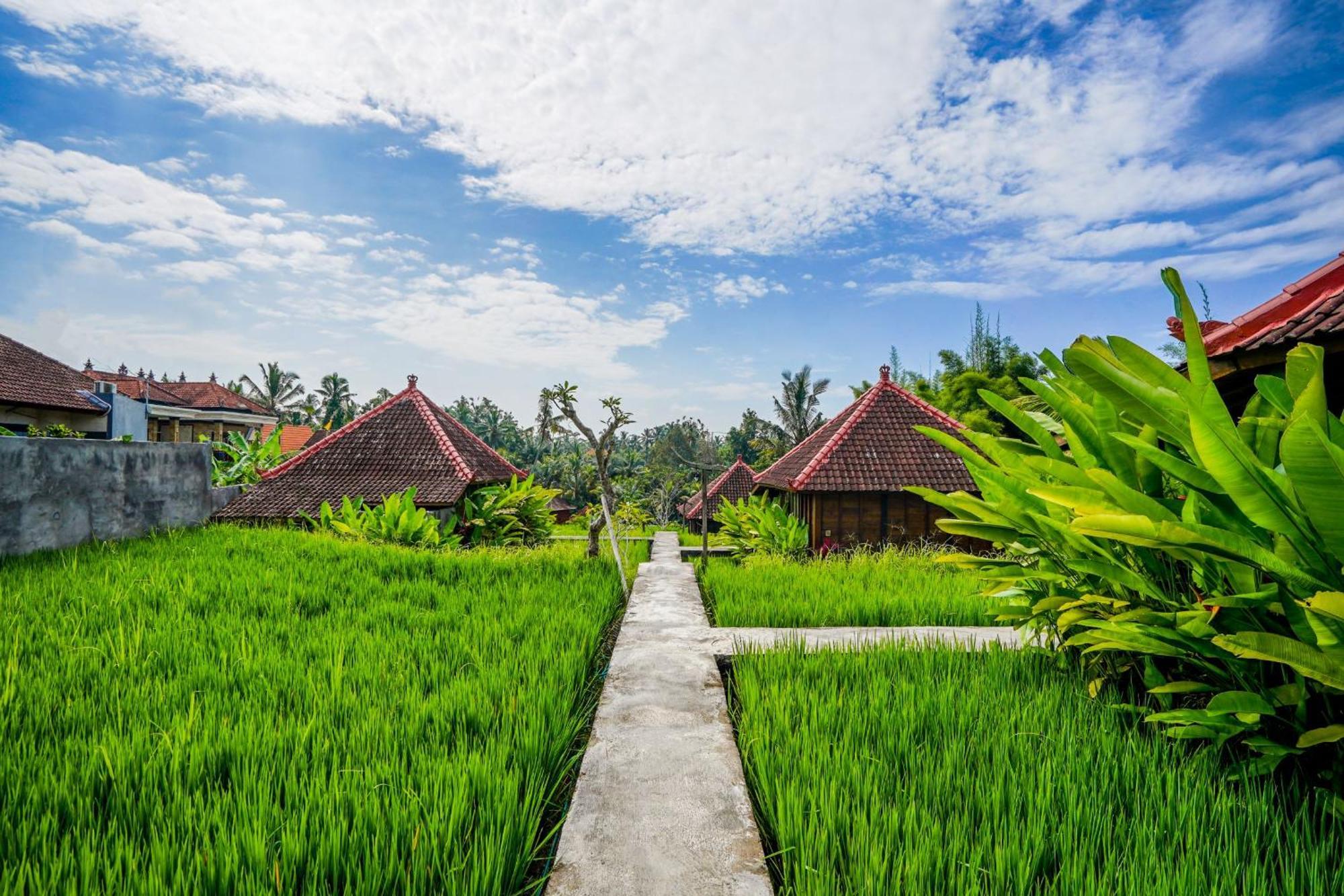 Ubud Sawah Scenery Villa And Homestay Tegallalang  Exteriör bild